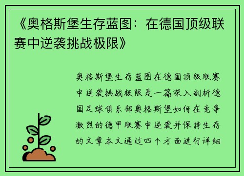 《奥格斯堡生存蓝图：在德国顶级联赛中逆袭挑战极限》